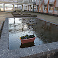 Img_0308